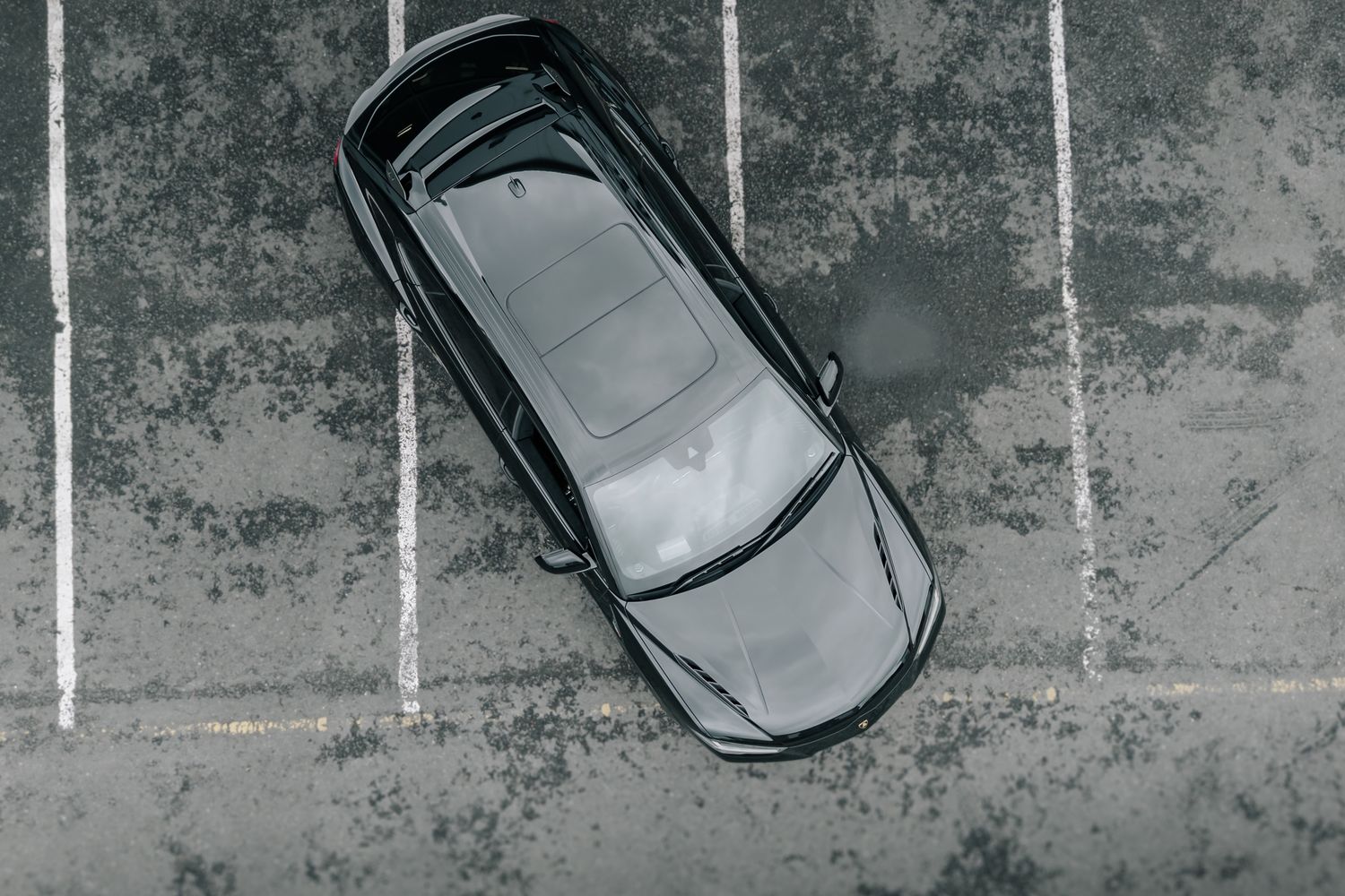 Lamborghini Urus Performante